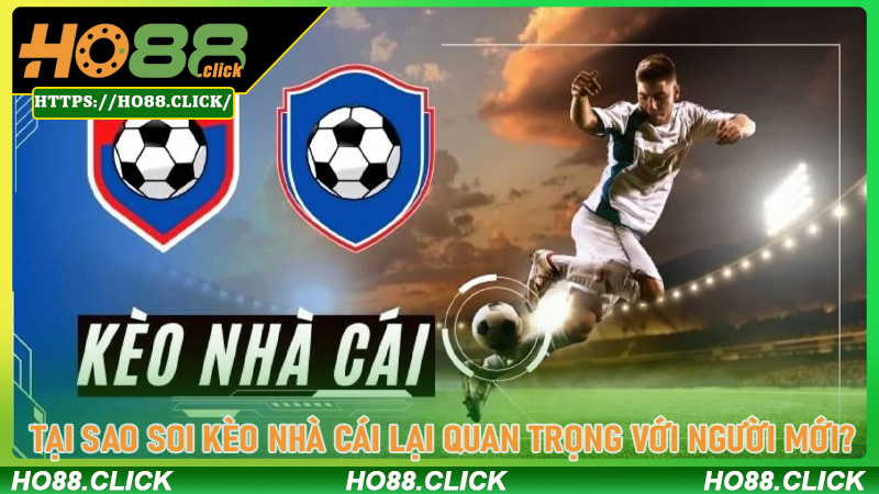 Tại Sao Soi Kèo Nhà Cái Lại Quan Trọng Với Người Mới?
