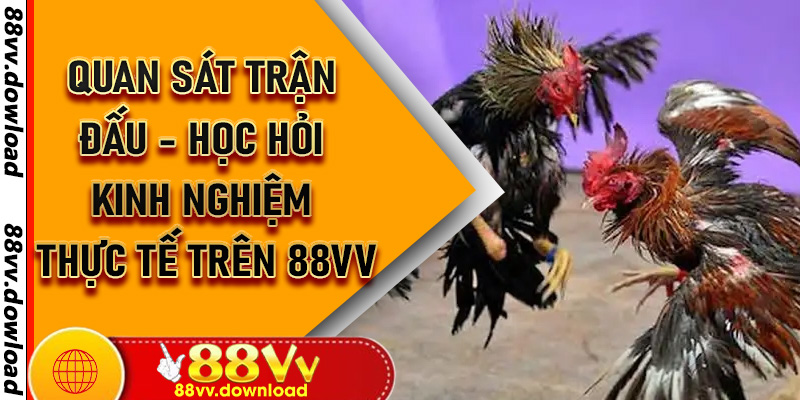 Quan Sát Trận Đấu - Học Hỏi Kinh Nghiệm Thực Tế Trên 88vv