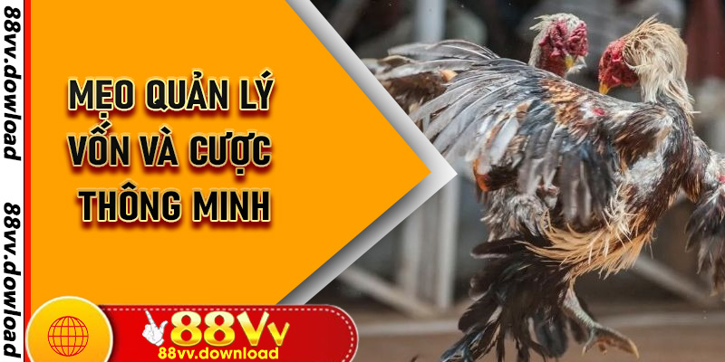 Mẹo Quản Lý Vốn Và Cược Thông Minh
