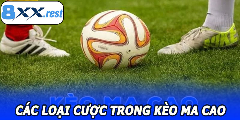 Các loại cược trong Kèo Ma Cao 8XX